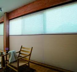 Honeycomb Blinds