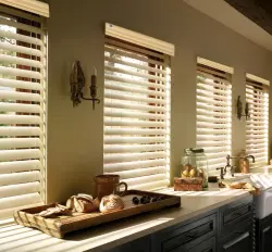 UV Blinds